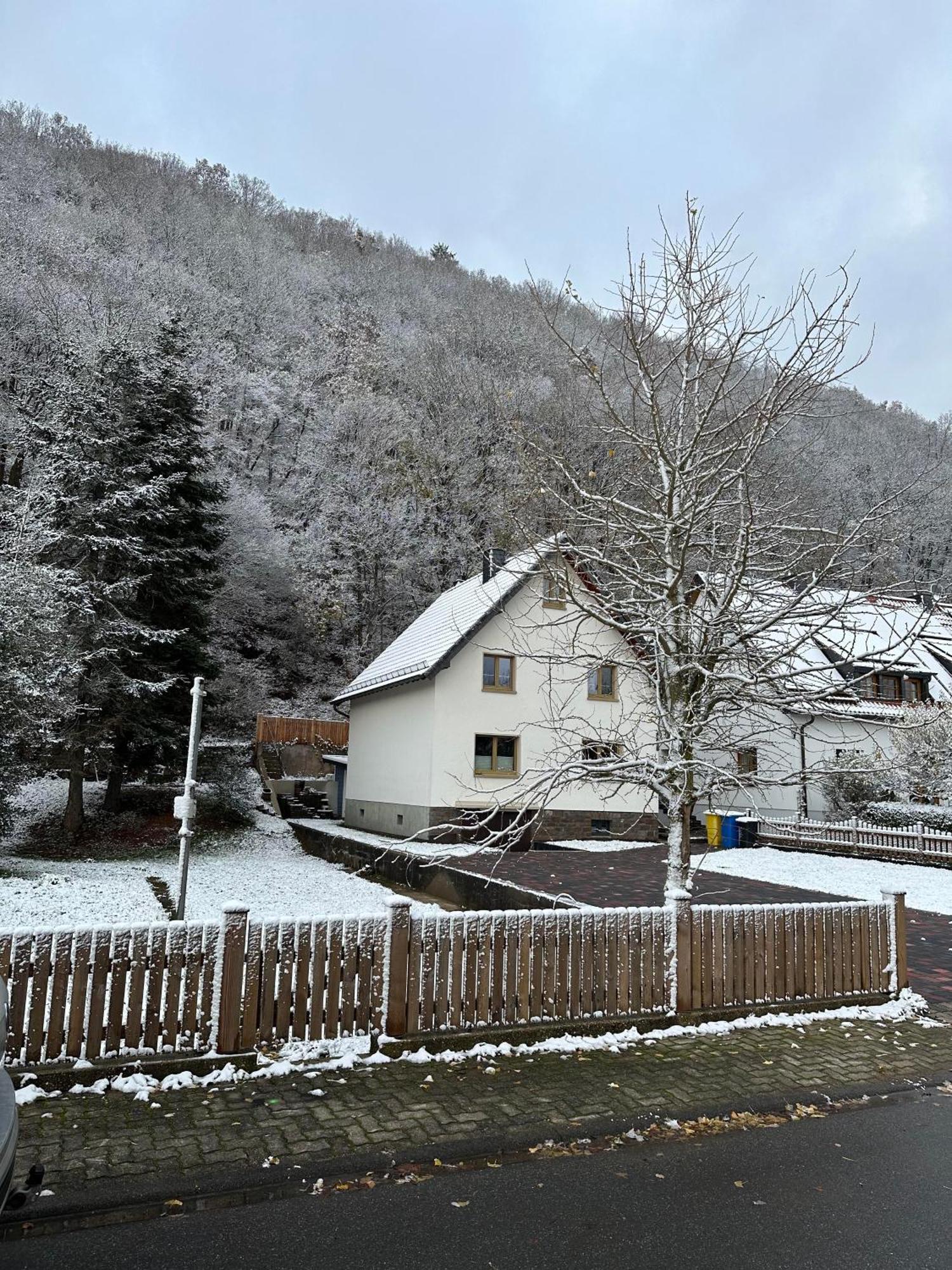 Ferienhaus Ginkgo Biloba Malsbenden Екстериор снимка
