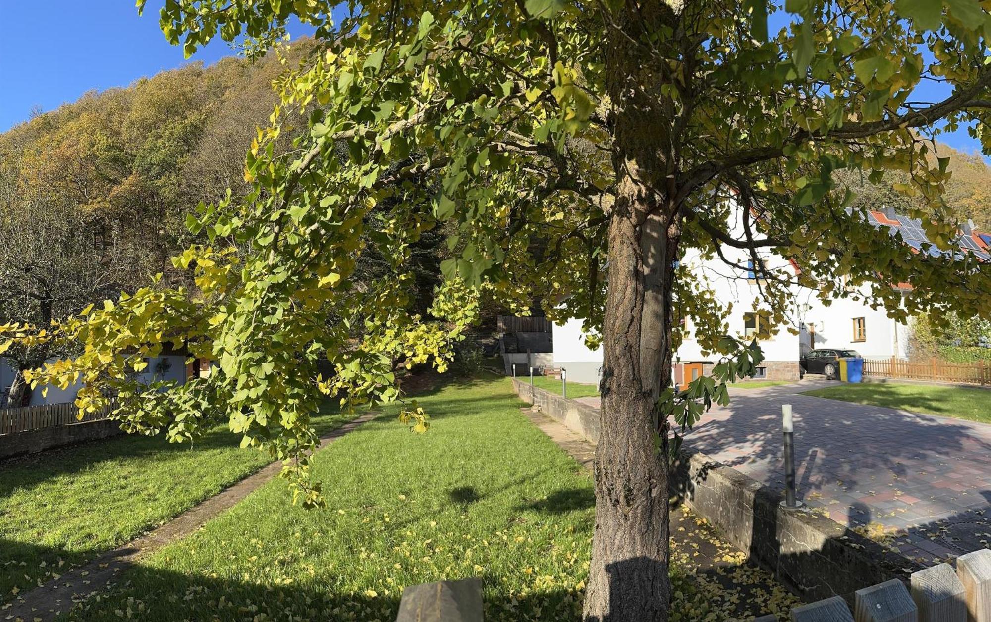 Ferienhaus Ginkgo Biloba Malsbenden Екстериор снимка