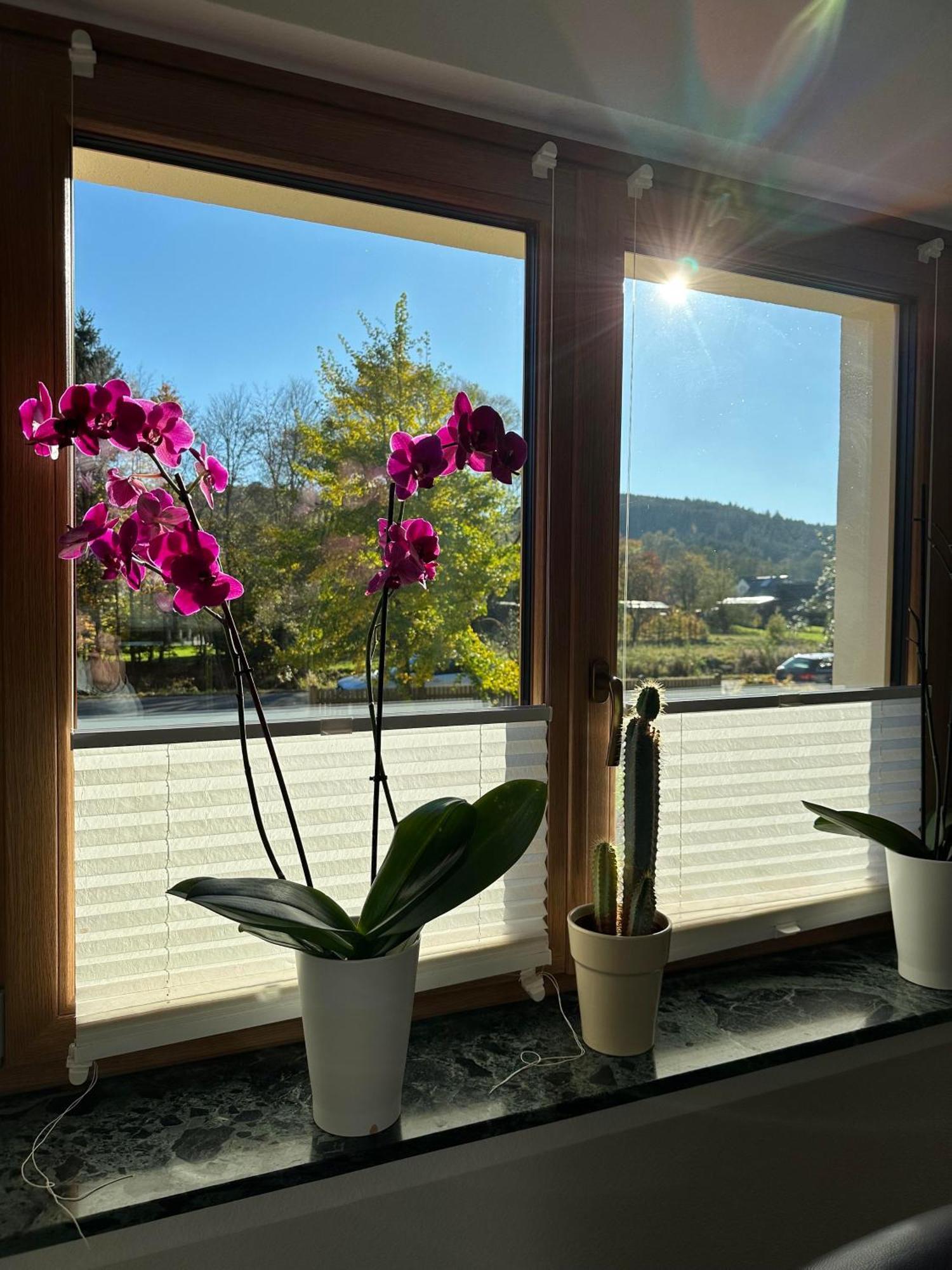 Ferienhaus Ginkgo Biloba Malsbenden Екстериор снимка