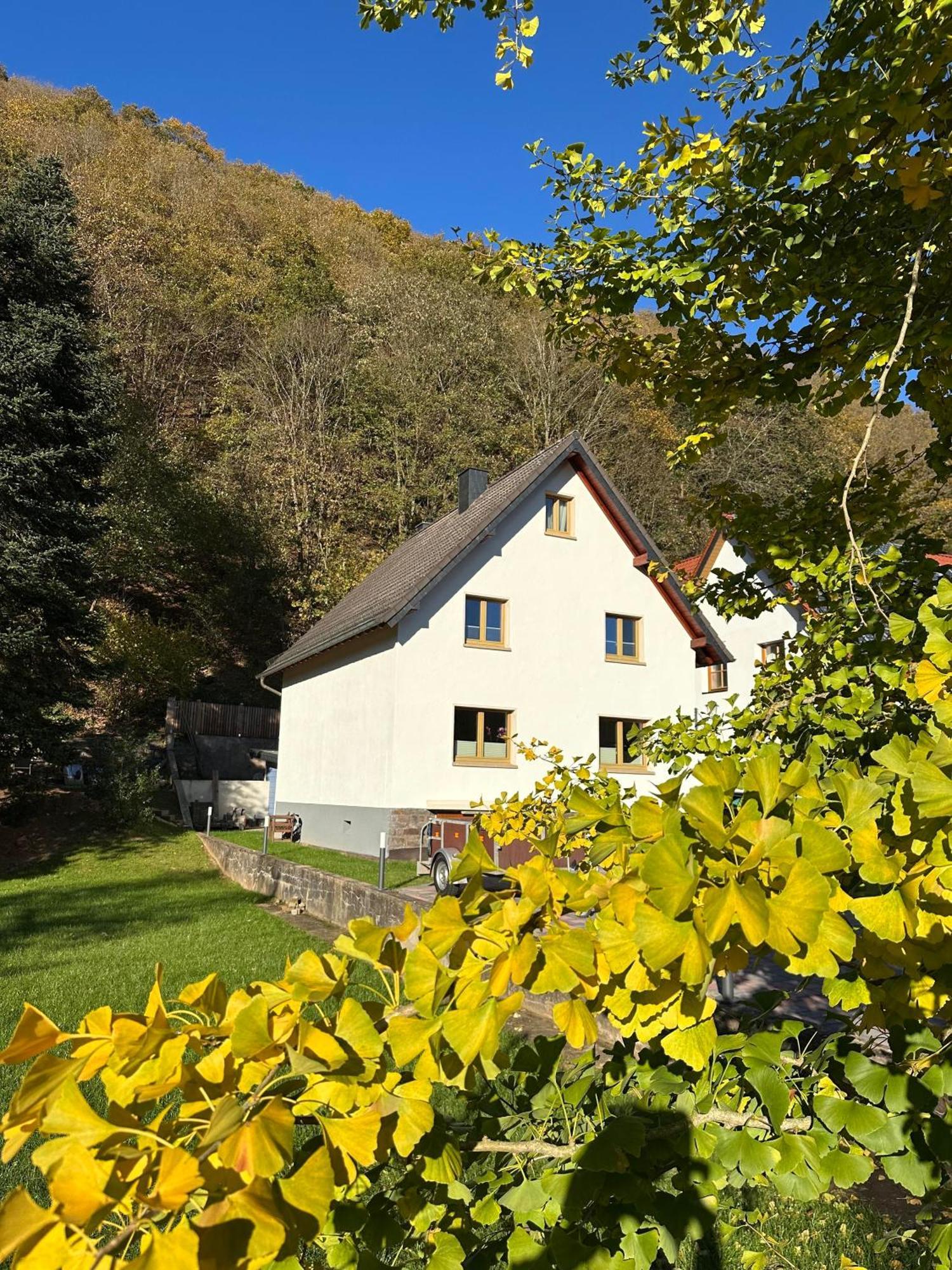 Ferienhaus Ginkgo Biloba Malsbenden Екстериор снимка