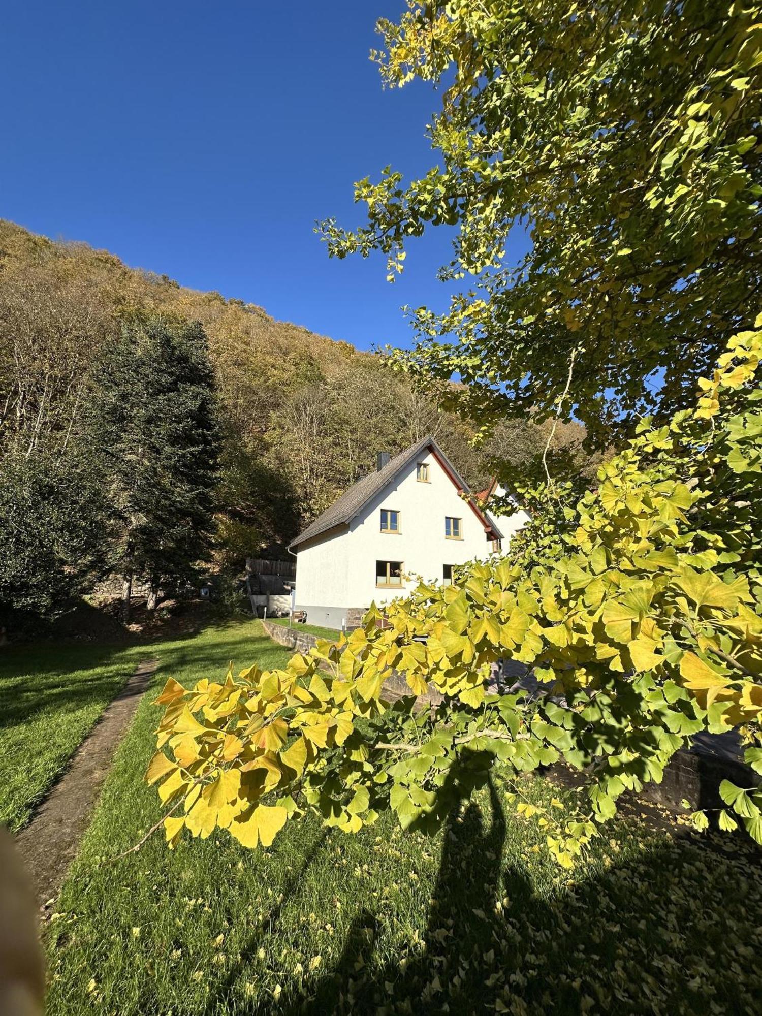 Ferienhaus Ginkgo Biloba Malsbenden Екстериор снимка